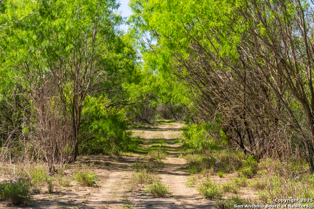 000 Fm 1581, Dilley, Texas image 27