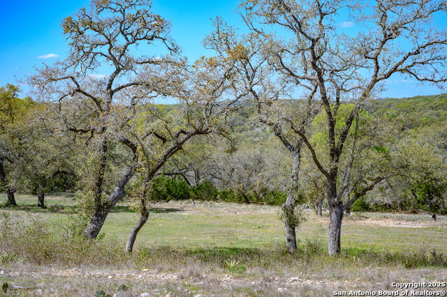 5922 Colin Rdg, New Braunfels, Texas image 27