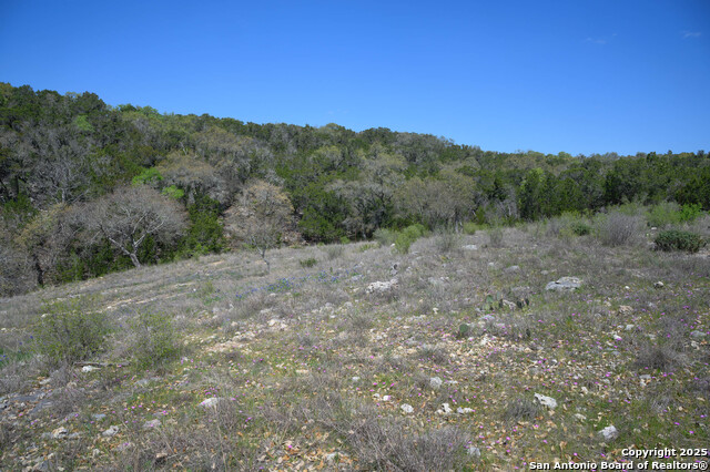 5922 Colin Rdg, New Braunfels, Texas image 32