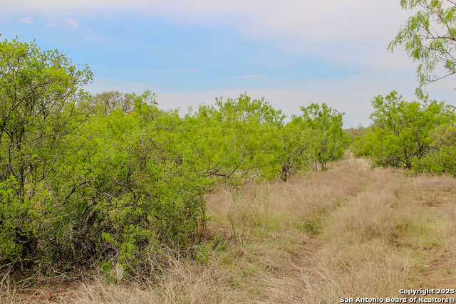 0000 County Road 341, Hondo, Texas image 11