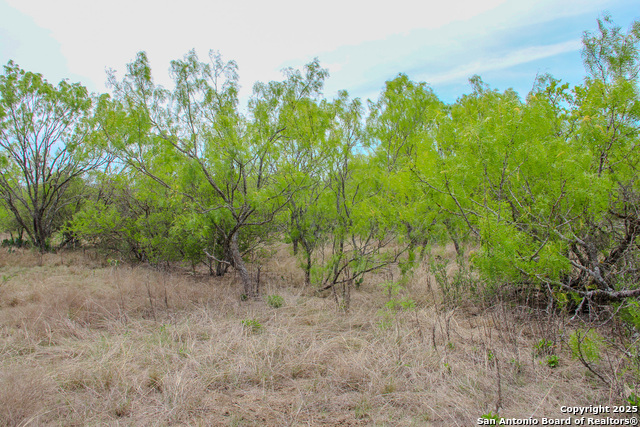 0000 County Road 341, Hondo, Texas image 14
