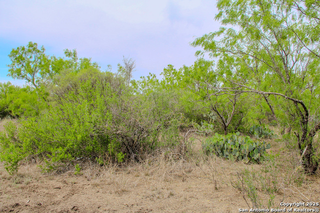 0000 County Road 341, Hondo, Texas image 16