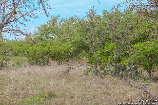 0000 County Road 341, Hondo, Texas image 20
