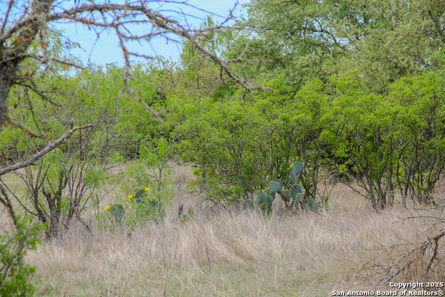 0000 County Road 341, Hondo, Texas image 22