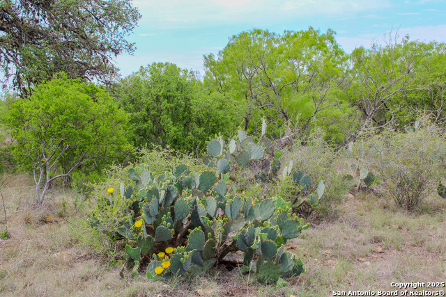0000 County Road 341, Hondo, Texas image 9