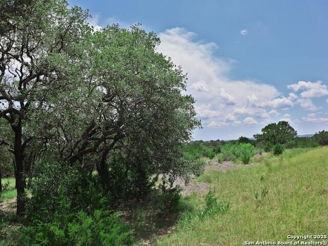 LOT 412 Palomino Springs, Bandera, Texas image 10