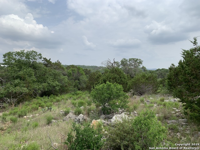 421 Cliffview, Canyon Lake, Texas image 5