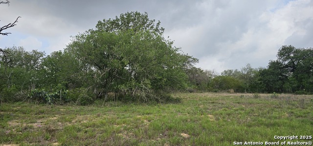 Stacey, Poteet, Texas image 37