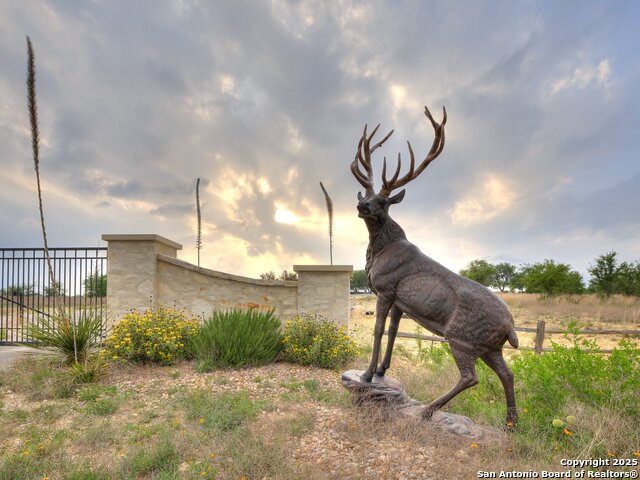 LOT 47 Ashtons Way, Kerrville, Texas image 3
