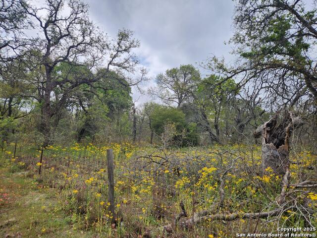 1247 Vivroux Ranch, Seguin, Texas image 2