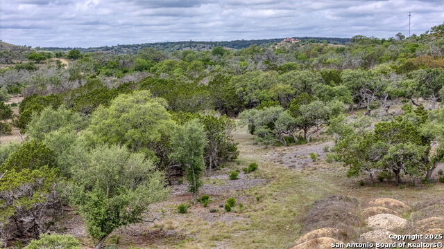 LOT 24 Seep Springs Drive, Center Point, Texas image 23