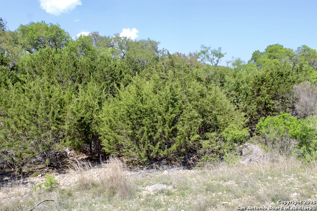 LOT 55-56 Pr 1523, Bandera, Texas image 9