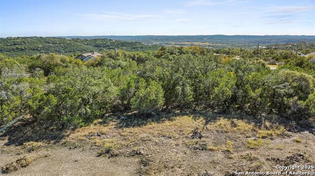 319 Toucan, Spring Branch, Texas image 19