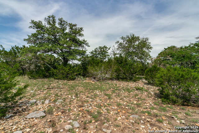 645 Arthur Ave, Fredericksburg, Texas image 8