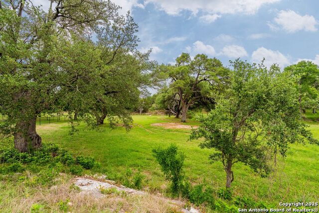 107 Nicholas Weeks, Blanco, Texas image 3