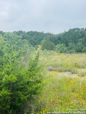 14333 Santa Loma, Helotes, Texas image 1