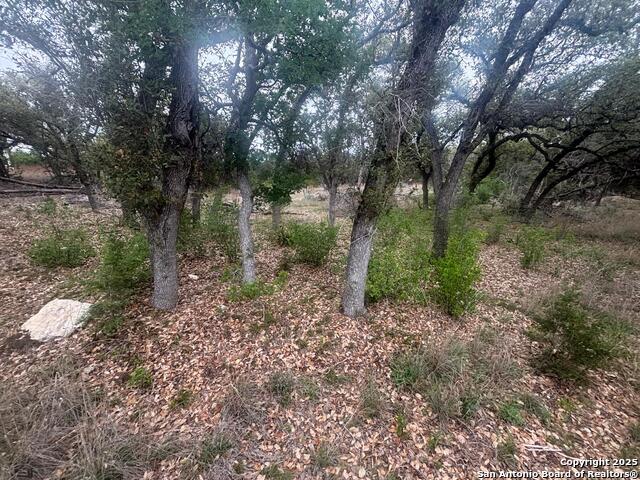 241 Restless Wind, Spring Branch, Texas image 36