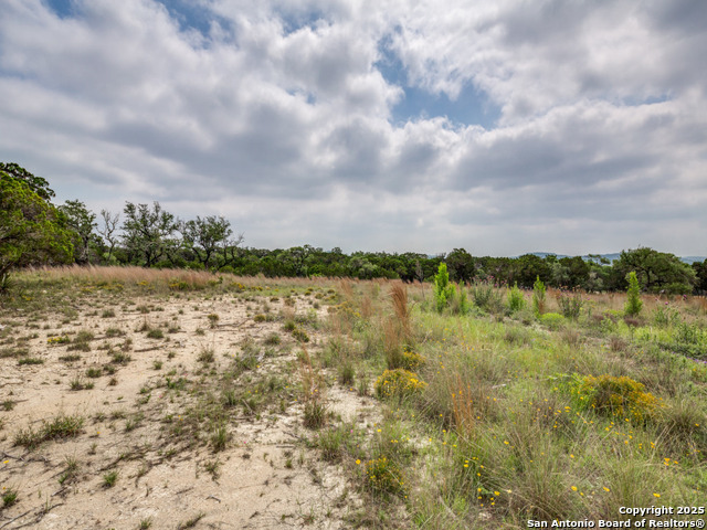 LOT 20 Canyon Forest, Helotes, Texas image 12