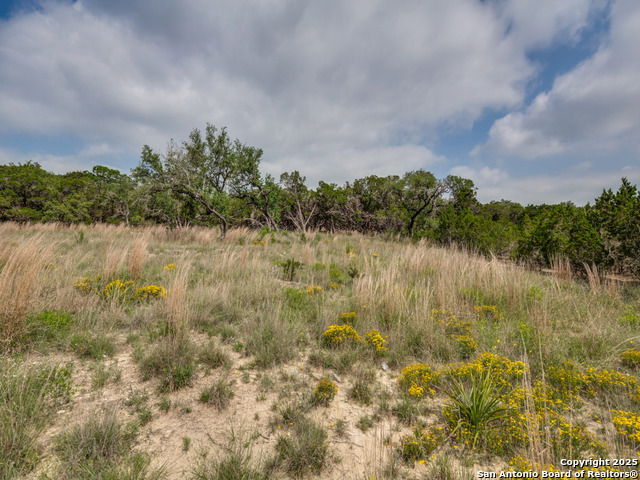 LOT 20 Canyon Forest, Helotes, Texas image 9