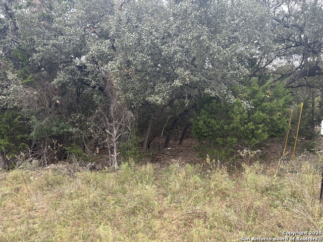 267 Tejas, Bandera, Texas image 1