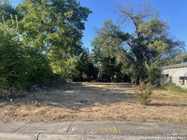 915 Potomac, San Antonio, Texas image 3