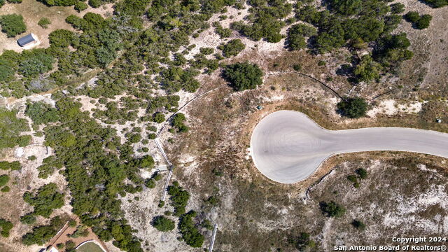 24018 Lydia Ridge, San Antonio, Texas image 16
