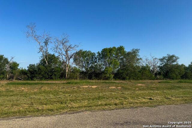 00 Cr 7714, Lot 3, Devine, Texas image 4