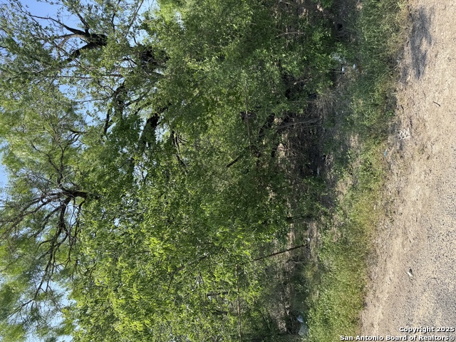 1970 Goeth, San Antonio, Texas image 5