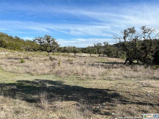 229 Lois Ln, Canyon Lake, Texas image 3