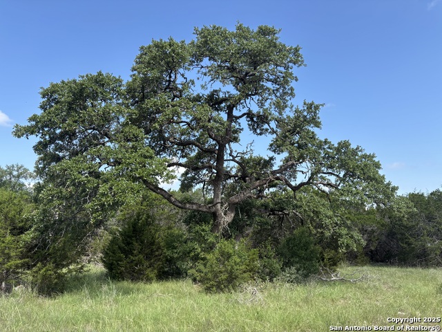 1483 Trailhead, New Braunfels, Texas image 1