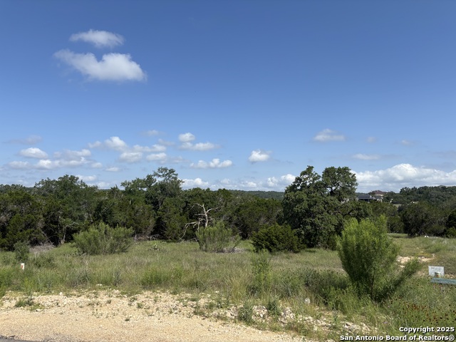 1483 Trailhead, New Braunfels, Texas image 2