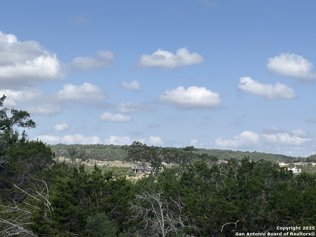 1483 Trailhead, New Braunfels, Texas image 3