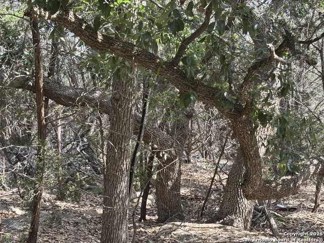 1483 Trailhead, New Braunfels, Texas image 4