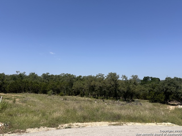 288 Pioneer Crest, New Braunfels, Texas image 2