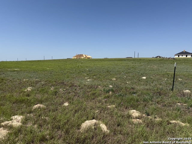104 Dragonfly Dr, La Vernia, Texas image 2