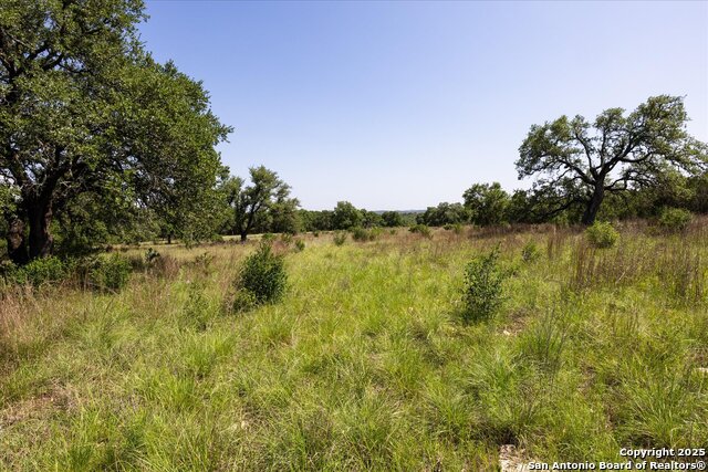 32568 Tierra Robles Dr, Bulverde, Texas image 14