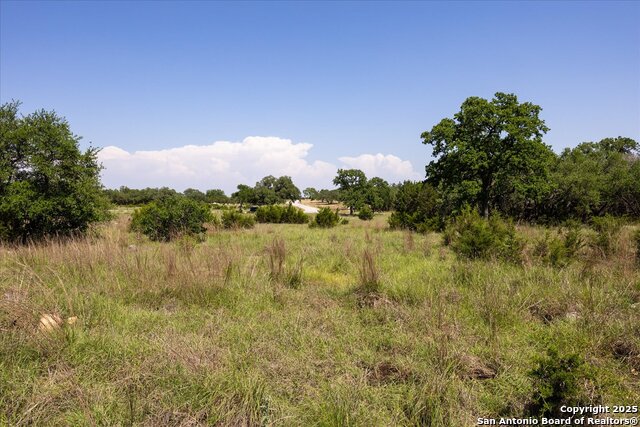 32568 Tierra Robles Dr, Bulverde, Texas image 8