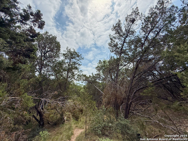 117 Calhoon, Canyon Lake, Texas image 18