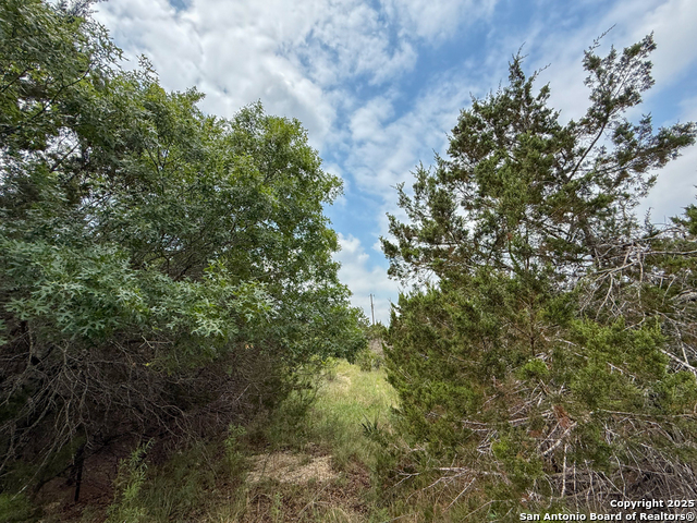 117 Calhoon, Canyon Lake, Texas image 7