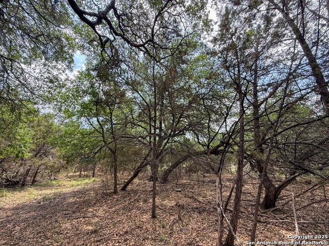 TBD Tbd, Canyon Lake, Texas image 12