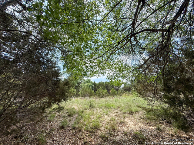 TBD Tbd, Canyon Lake, Texas image 19