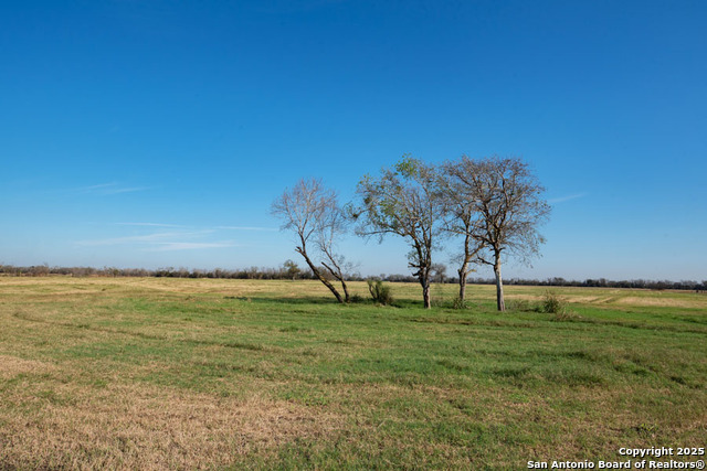 2464 Bolton, Marion, Texas image 3