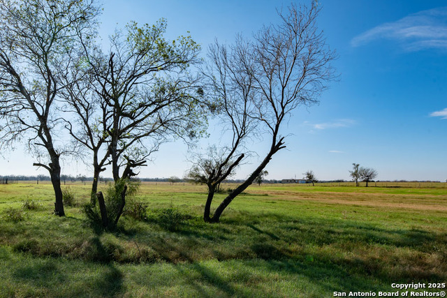 2464 Bolton, Marion, Texas image 4