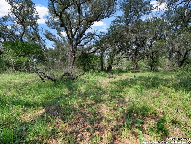 323 County Road 6720, Natalia, Texas image 7