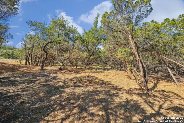 23341 S Fork, San Antonio, Texas image 9