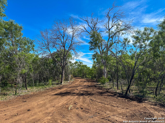 13704 Ladd Rd, Atascosa, Texas image 15