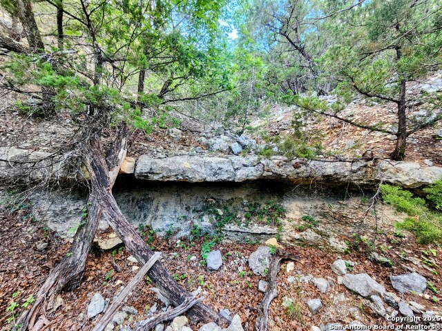 1047 Seco Pass Road, Tarpley, Texas image 12