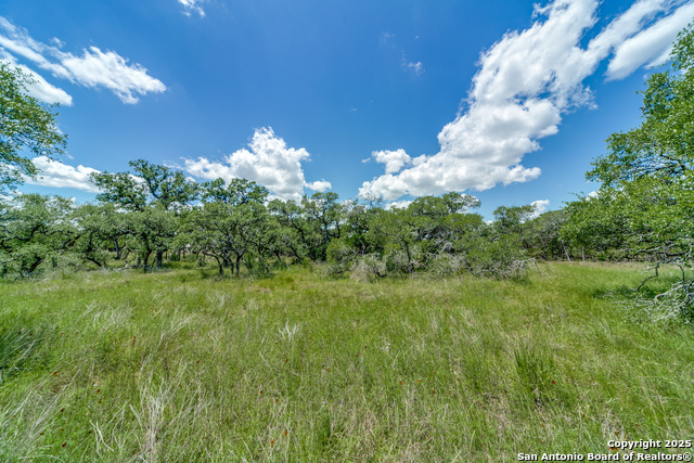 34761 Carries Creek, Bulverde, Texas image 12