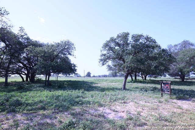 309 Firewheel Loop, Floresville, Texas image 1