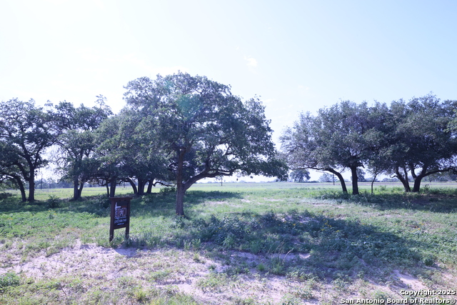 309 Firewheel Loop, Floresville, Texas image 2